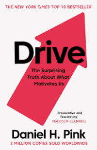 Image of Drive : Surprising Truth About What Motivates Us