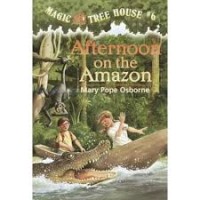 Image of Afternoon on the Amazon